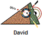 David